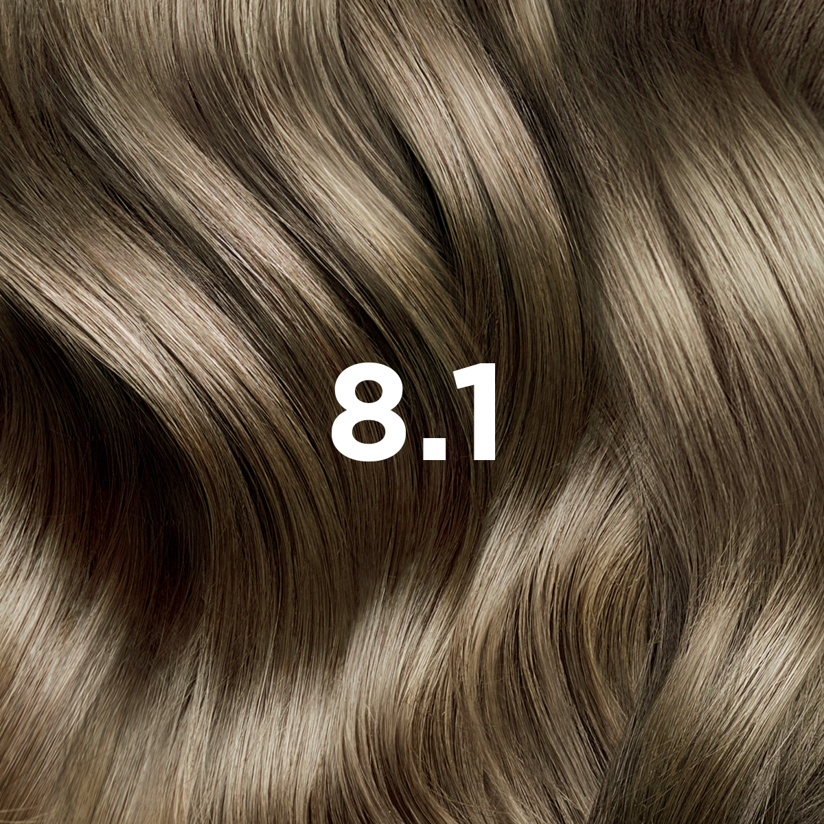 Phyto Hair Dye Farba do włosów - jasny popielaty blond (kolor 8.1 Blond Clair Cendre) 1 szt