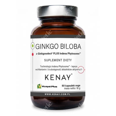 Kenay Ginkgo Biloba z Ginkgoselect Plus Indena Phytosome TM Suplement diety 60 kapsułek