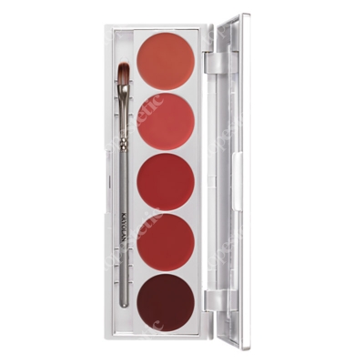 Kryolan Lip Rouge Set 5 Colors Paletka 5 kol. szminek do ust (LRS101) 10 g