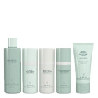 Marini SkinSolutions Skin Care Management System™ Tinted ZESTAW Przeciwzmarszczkowy dla skóry normalnej i mieszanej 1 szt