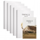 Skin1004 Madagascar Centella Watergel Sheet Ampoule Mask x 5 ZESTAW Maska w płachcie z wąkrotą azjatycką 1 szt. x 5